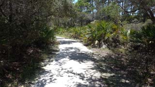 Rounding curve, light and shadow